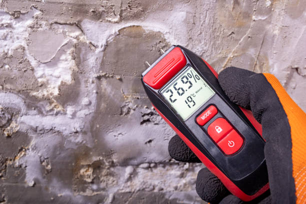 Best Local Mold Removal Service  in Listoga, CA