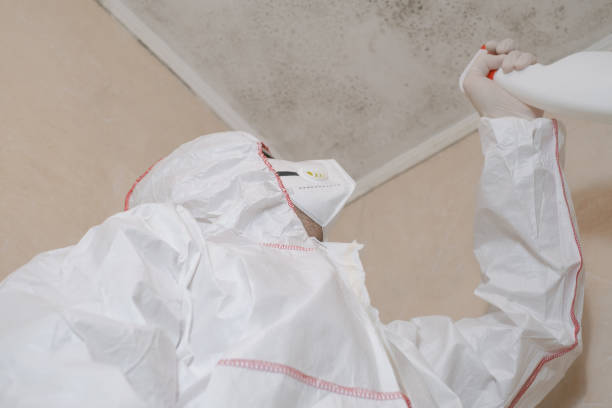 Best Mold Removal Company Near Me  in Listoga, CA