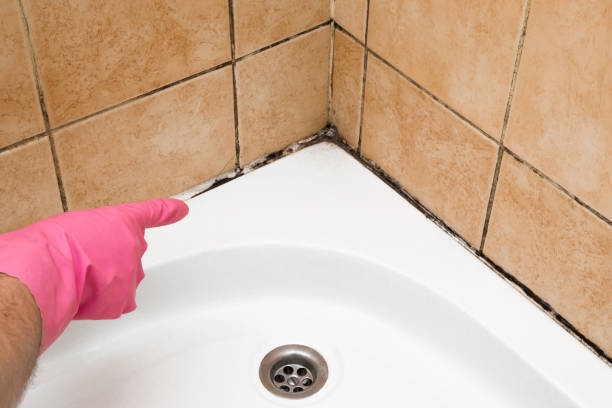 Best Mold Cleaning Services  in Listoga, CA